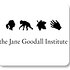 Photo: Jane Goodall Institute