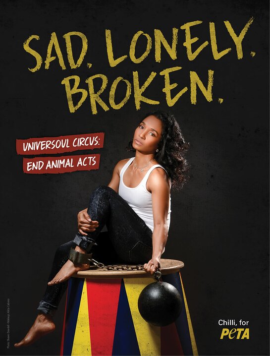 TLC's Chilli Says No To UniverSoul Circus