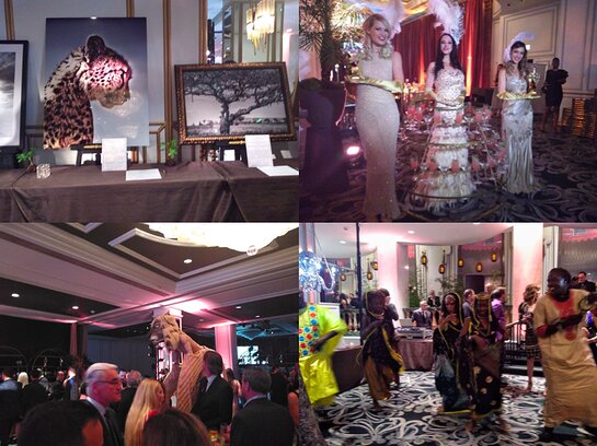 There was plenty to see at the WildAid "A Night in Africa" Gala. There was plenty to see at the WildAid "A Night in Africa" Gala.