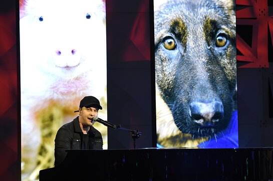 Gavin DeGraw performs on stage at the HSUS 'To the Rescue!' Gala 2019.