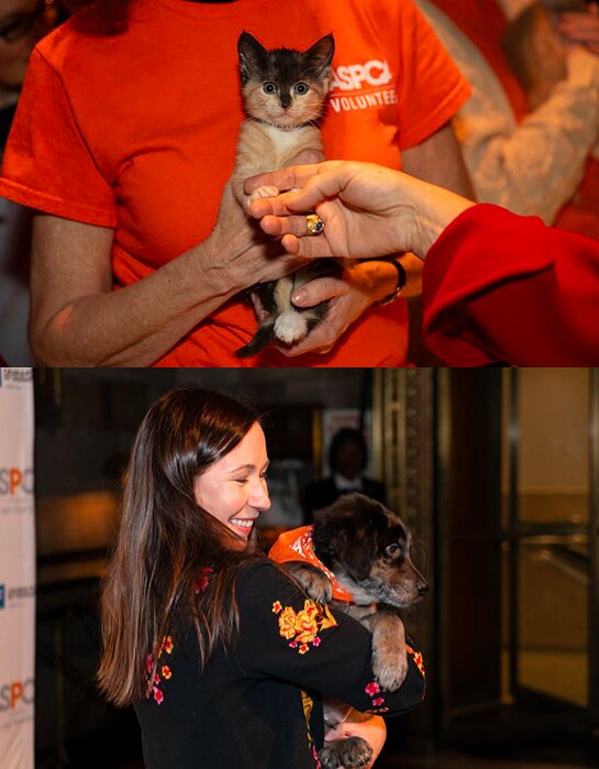 Adoptable kittens and puppies joined the guests and honorees.