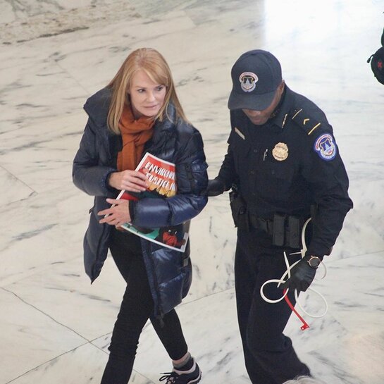 Marg Helgenberger was arrested for civil disobedience at the November 16th Fire Drill Friday event.