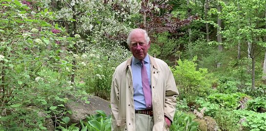 Prince of Wales celebrates the National Garden Scheme's virtual garden visits