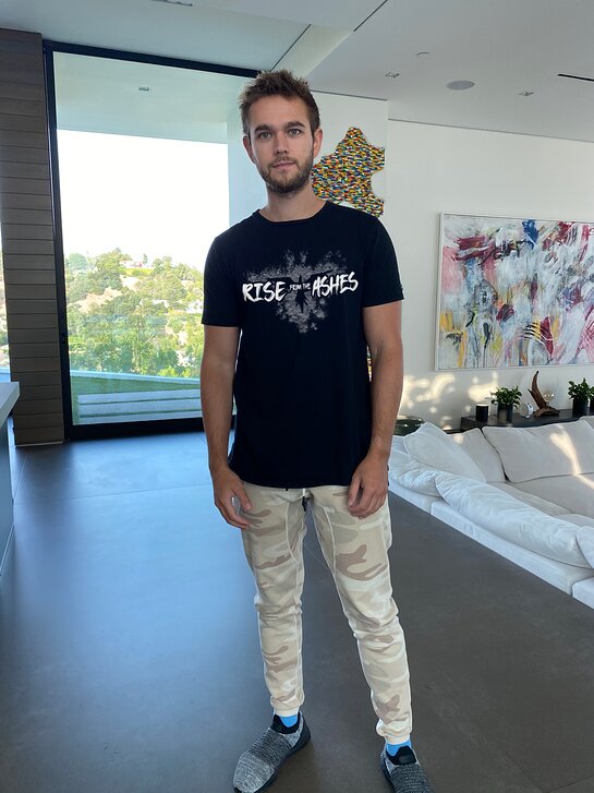 Zedd shows his support for #RiseFromTheAshes