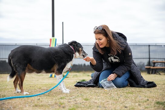 Bellamy Young visits the ASPCA Behavioral Rehabilitation Center near her hometown of Asheville, N.C.