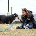 Bellamy Young Visits Canine Victims of Cruelty at ASPCA Behavioral Rehabilitation Center