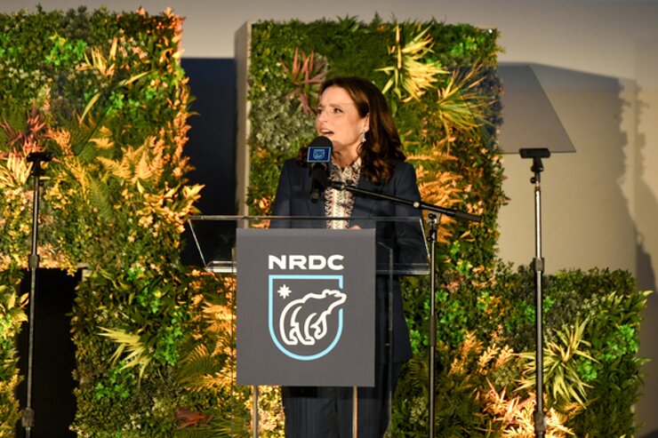 Julia Louis-Dreyfus accepts an award onstage during the NRDC Night of Comedy Benefit