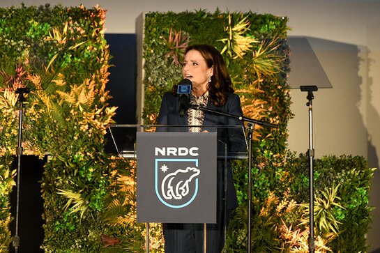 Julia Louis-Dreyfus accepts an award onstage during the NRDC Night of Comedy Benefit Julia Louis-Dreyfus accepts an award onstage during the NRDC Night of Comedy Benefit