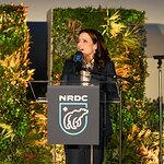 NRDC Honors Julia Louis-Dreyfus at Night of Comedy Benefit