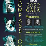 Elaine Hendrix To Receive Celebrity Activist Award at Last Chance for Animals Compassion Gala