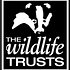 Photo: Dorset Wildlife Trust