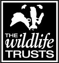 Dorset Wildlife Trust