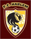 FC Harlem