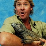 Steve Irwin Killed While Filming