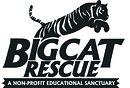 Big Cat Rescue