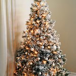 Stars Design Christmas Trees To Keep America Beautiful