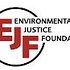 Photo: Environmental Justice Foundation