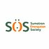 Photo: Sumatran Orangutan Society