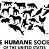 Photo: The Humane Society