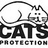 Photo: Cats Protection