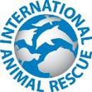 International Animal Rescue (IAR) International Animal Rescue (IAR)