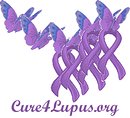 Cure4Lupus