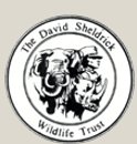 David Sheldrick Wildlife Trust David Sheldrick Wildlife Trust