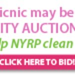 Bette Midler's Celebrity Charity Auction To Close Soon