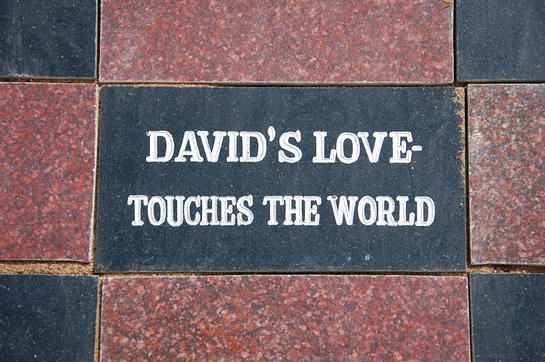 David Archuleta - Pathway of Hope
