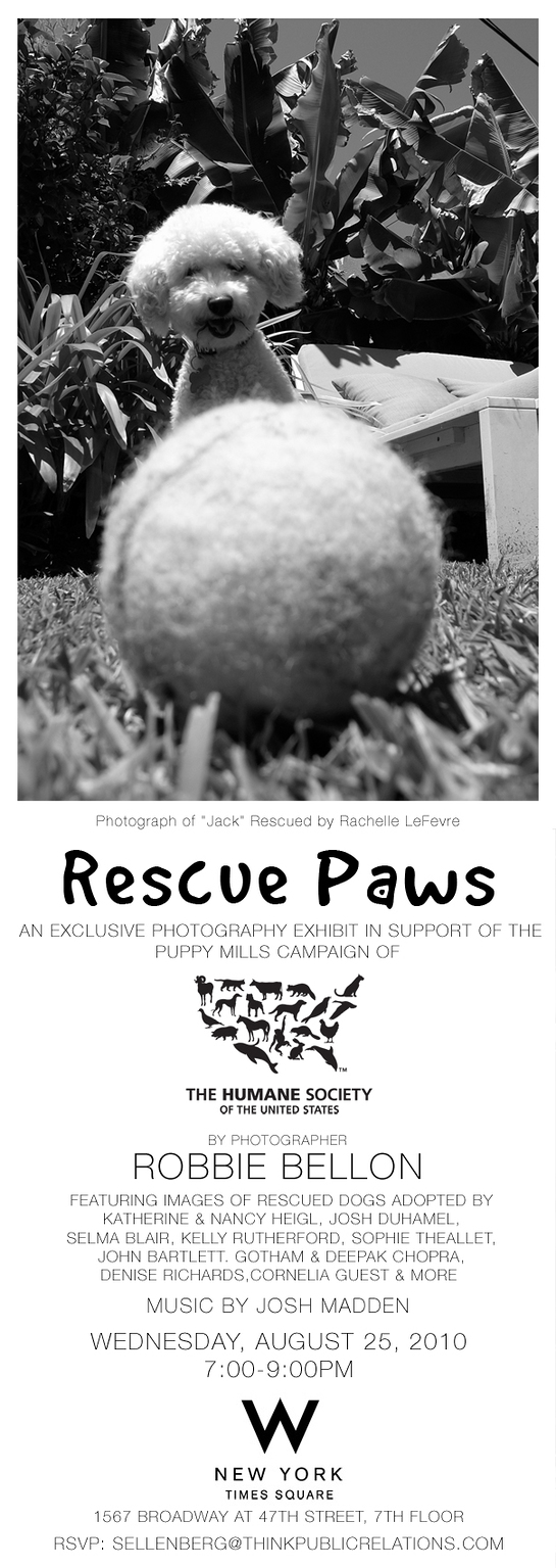 Rescue Paws