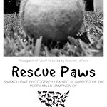 Celebrity Charity Photo Exhibit: Rescue Dogs Of The Stars