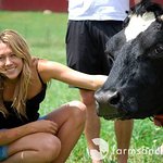 Photos: Colbie Caillat Makes Charity Visit To Farm Sanctuary