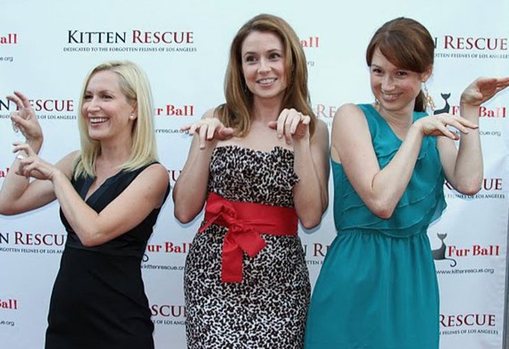 Angela Kinsey (“The Office”), Jenna Fischer (“The Office”), Ellie Kemper (“The Office”) show their purrfect kitty poses at Kitten Rescue's 3rd Annual Fur Ball at the Skirball