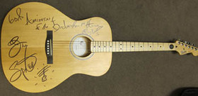 Springsteen Amnesty International Guitar
