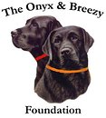 Onyx and Breezy Foundation Onyx and Breezy Foundation