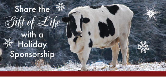 Holiday Sponsorship, Farm Sanctuary