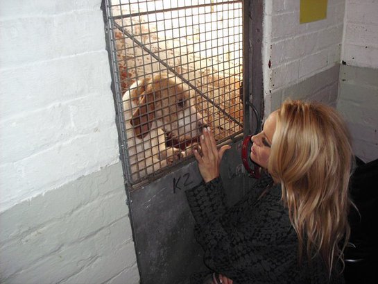 Pamela Anderson at RSPCA