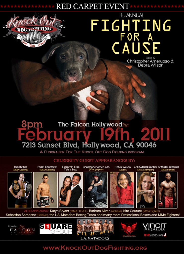 Knock Out Dog Fighting Flyer