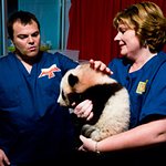 Jack Black Attends Panda Naming Ceremony