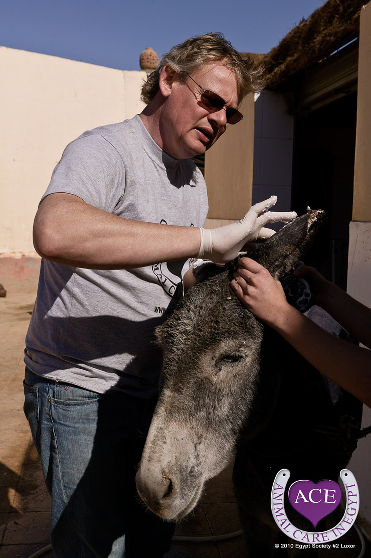 Martin helping in Luxor at the ACE hospital