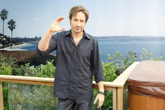 David Duchovny The Big C