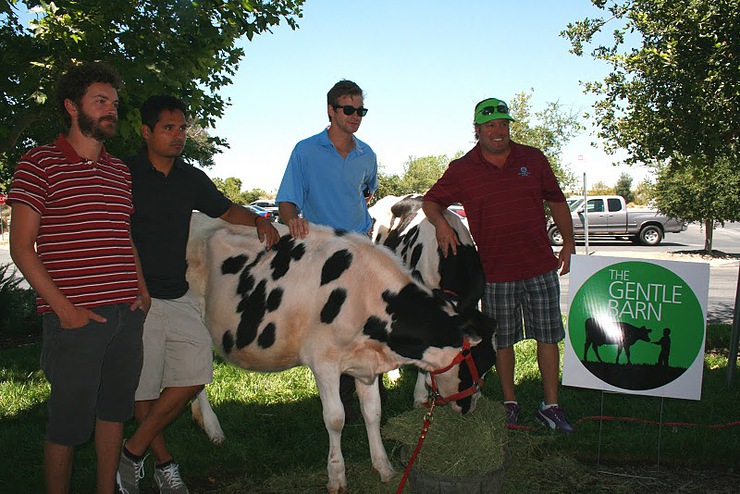 Celebs at The Gentle Barn Golf Day