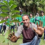 Jack Johnson Plants A Tree In Brazil