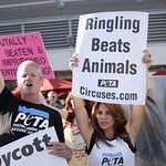 Jillian Michaels Leads Massive Protest For PETA