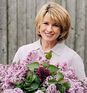 martha stewart vegan shoes