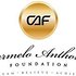 Photo: Carmelo Anthony Foundation