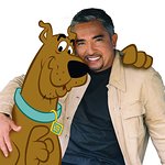 Cesar Millan And Scooby Doo Team Up For Charity Dog Walk