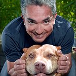 Cesar Millan: Profile