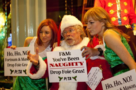 Bill Oddie Delivers Bag of Coal to Naughty Fortnum and Mason