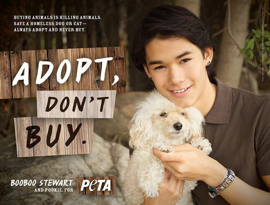 BooBoo Stewart PETA Ad